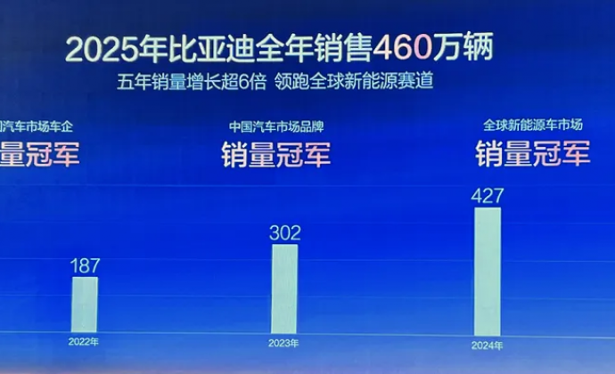 不再高增长，比亚迪就败了吗？