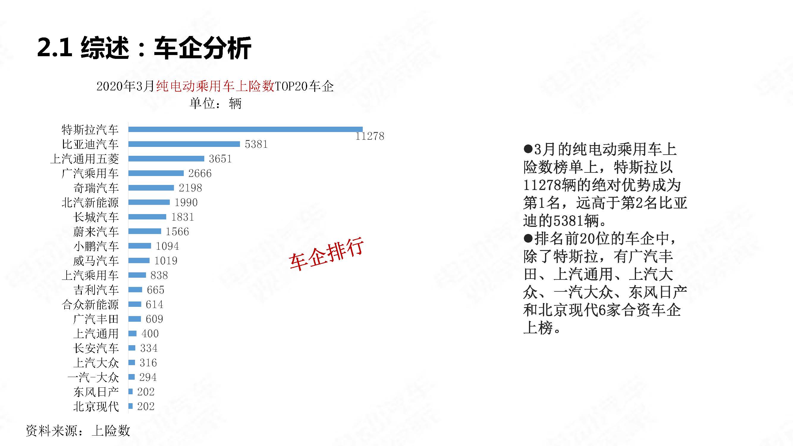 中国新能源汽车产业观察2020年3月简版_页面_13